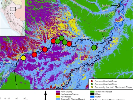 Marañón River watershed in the northeast Peruvian Amazon