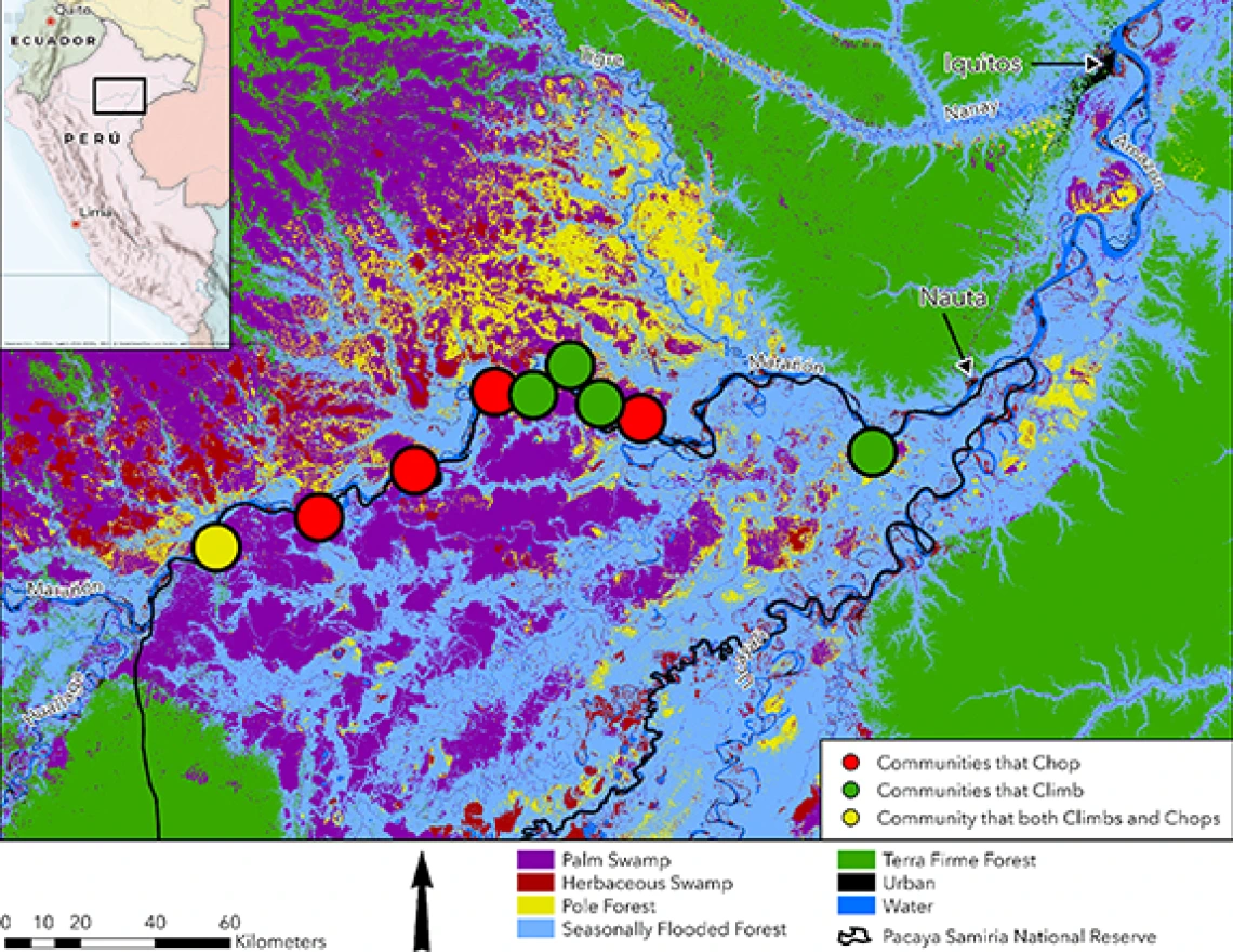 Marañón River watershed in the northeast Peruvian Amazon