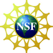 NSF badge